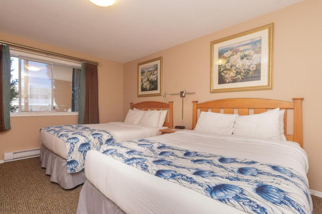 סידני The Cedarwood Inn & Suites מראה חיצוני תמונה